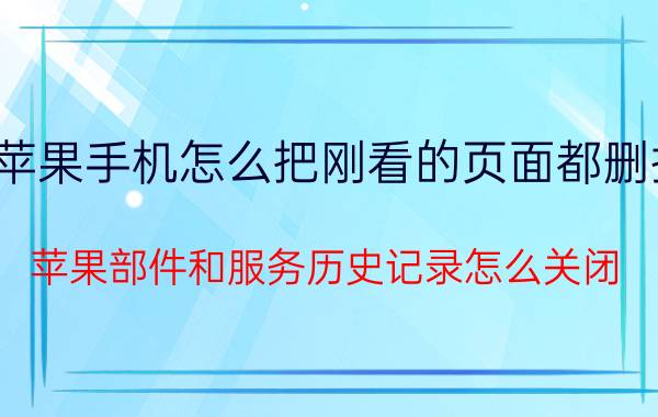 苹果手机怎么把刚看的页面都删掉 苹果部件和服务历史记录怎么关闭？